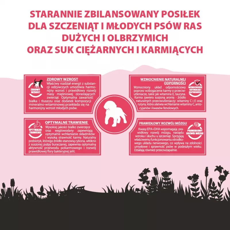 PUPIL Premium Junior Lielām un īpaši lielām šķirnēm Bagāts ar liellopu gaļu - sausa suņu barība - 12kg