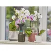 Rokas smidzinātājs Gardena 11110-20 0.75 L Melns