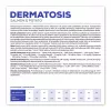 VET EXPERT Veterinary Diet Dermatosis Dog Salmon & Potato - sausa suņu barība - 12 kg