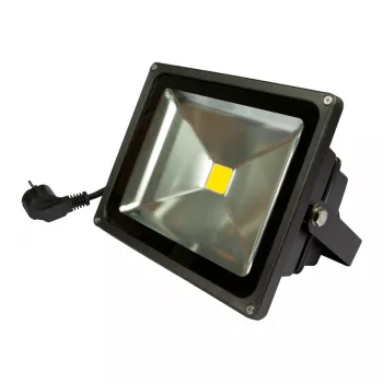 LED gaismeklis Synergy21 S21-LED-TOM00887, 30 W, silts balts, IP65