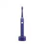 Zobu birste Zelmer ZTB1010B