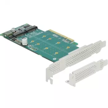 DeLOCK PCI Express x8 karte 2 x iekšējam NVMe M.2 Key M ar bifurkāciju, Low Profile