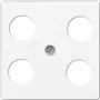 Jung A 561-4 SAT1 WW Balts (A561-4SAT1WW)