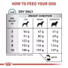 Sausā suņu barība Royal Canin Anallergenic Small 1,5 kg — hipoalerģiska formula pieaugušiem mazo šķirņu suņiem