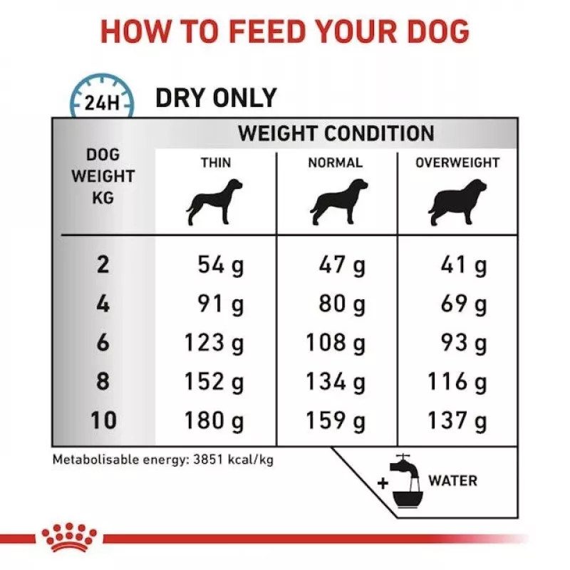 Sausā suņu barība Royal Canin Anallergenic Small 1,5 kg — hipoalerģiska formula pieaugušiem mazo šķirņu suņiem