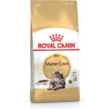 Sausā barība kaķiem Royal Canin Maine Coon Adult 4 kg — vistas gaļa, 31% olbaltumvielas, 20% tauki