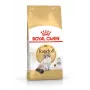 Sausā barība kaķiem Royal Canin Ragdoll Adult 2 kg — vistas gaļa, 32% olbaltumvielas, 18% tauki