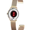 Viedpulkstenis MaxCom FW42 GOLD Zelts