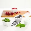 ROTHO Freeze saldētavas trauks - 6x250ml