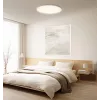 Xiaomi Smart Griestu Lampa D30 WiFi 30W