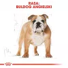 Royal Canin Bulldog Adult sausais suņu ēdiens, 12 kg