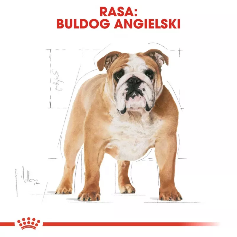 Royal Canin Bulldog Adult sausais suņu ēdiens, 12 kg