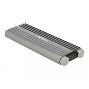 SSD korpuss DeLOCK 42001 Sudrabs M.2