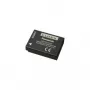 Akumulators Panasonic DMW-BCG10E Litija-Jonu 895 mAh