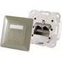 Kontaktligzda 2 x RJ-45 ShiverPeaks 74280-GR — Cat6a, 500 MHz, metāla korpuss, pelēks/sudrabs