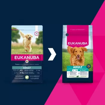 Sausā suņu barība EUKANUBA Adult Large Breed Jēra gaļa un rīsi 12 kg – pilnvērtīga sausā barība pieaugušiem lielo un milzu šķirņu suņiem