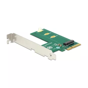 DeLOCK 89561 PCI Express interfeisa karte M.2 slotam