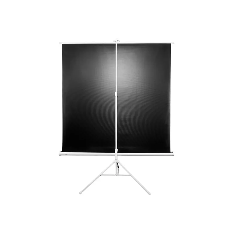 Elite Screens T99NWS1 statīva projekcijas ekrāns 2.51 m 1:1