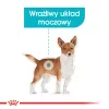 Royal Canin Mini Urinary Care sausā suņu barība, 1 kg