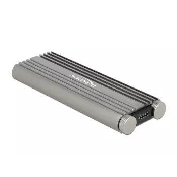 SSD korpuss DeLOCK 42001 Sudrabs M.2