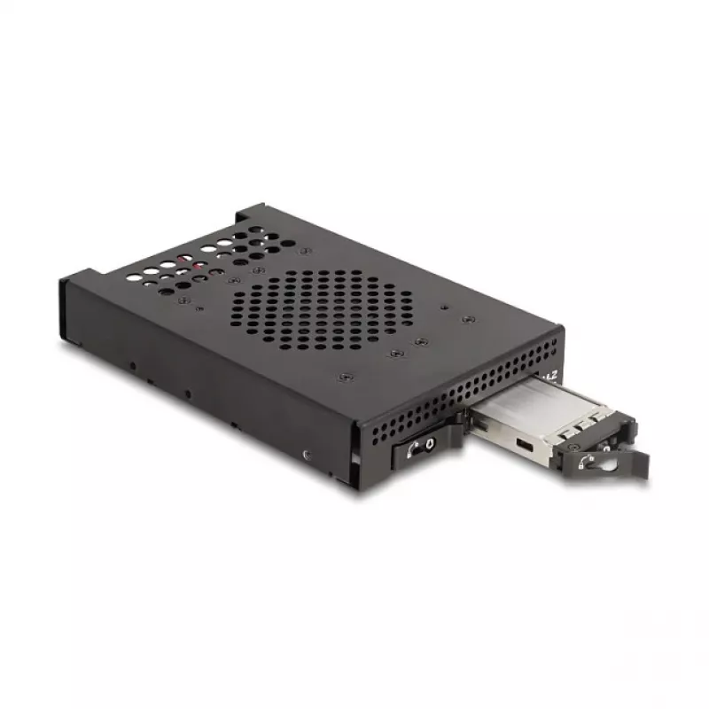 SSD korpuss DeLOCK 47117 3.5 collu mobilais plaukts 2 x M.2 NVMe SSD