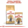 Royal Canin British Shorthair Adult sausais kaķu ēdiens, 10 kg