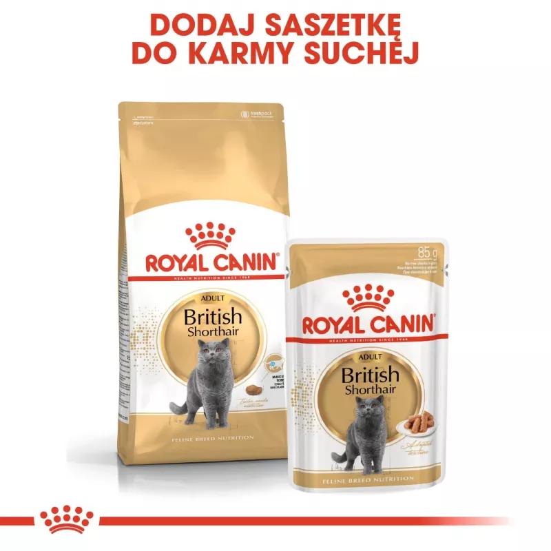 Royal Canin British Shorthair Adult sausais kaķu ēdiens, 10 kg
