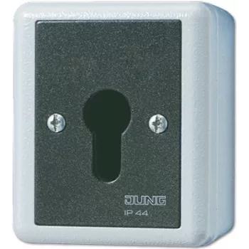 Atslēgas slēdzis JUNG 806.28 G — 2P, vads, 250 V AC, 16 A, melns/balts