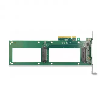 DeLOCK PCI Express 4.0 x8 Kontrolieris 2 x iekšējie U.2 NVMe SFF-8639 ar bifurkāciju