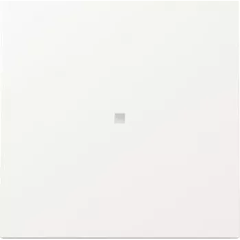 GIRA pārslēgs 329070 KF FL RW (329070)