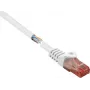 Renkforce RF-5044028 Ethernet Patch vads Balts