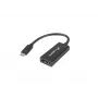 Video kabeļa adapteris Lanberg AD-UC-DP-01