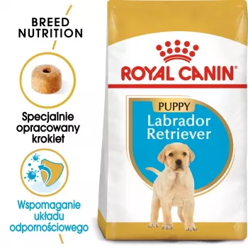 ROYAL CANIN SHN Breed Labrador Junior sausā barība suņiem - 12 kg