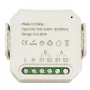 Tuya HS084097 viedais enerģijas skaitītājs, 2 kanāli, 80A, Wi-Fi