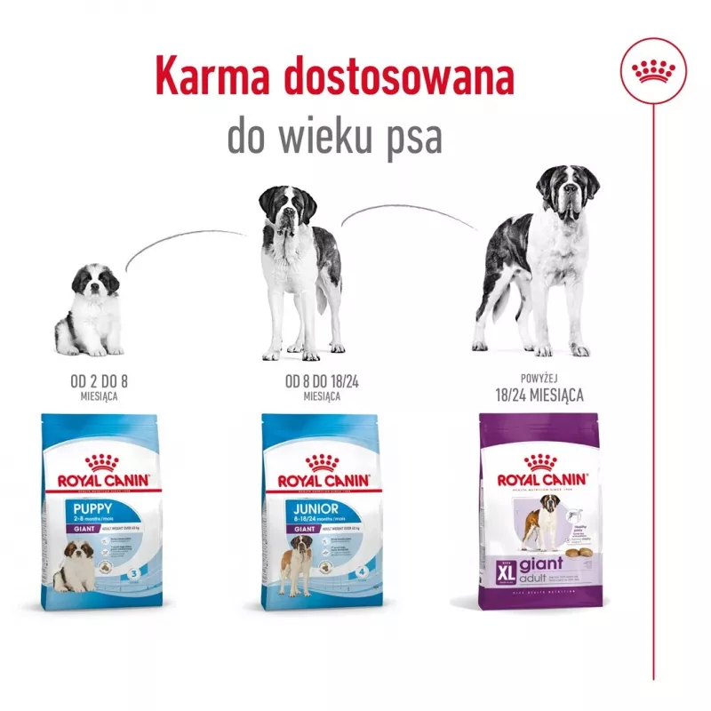 ROYAL CANIN Giant Adult - sausā barība suņiem - 15 kg