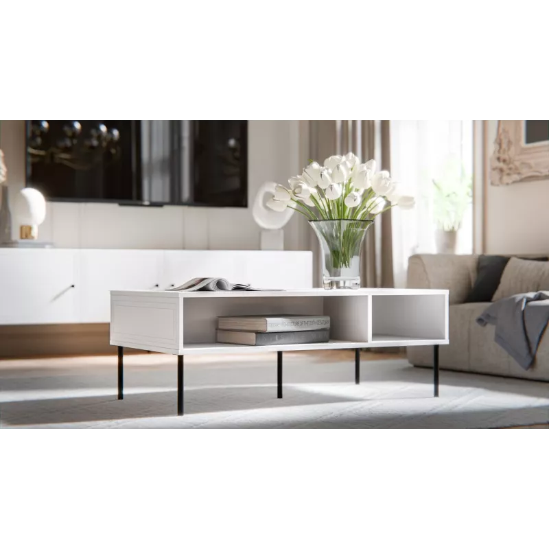 PALAZZO BIS table/latrine 110x60x40 balts matēts
