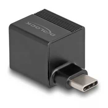 DeLOCK USB Type-C adapteris uz Gigabit LAN mini Melns