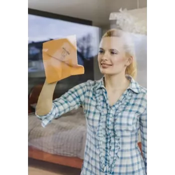 Logu drāna Vileda 1 gab.