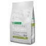 Nature's Protection Superior Care White Dogs Grain Free Junior Small Fish sausā barība suņiem 10 kg