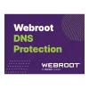 Webroot DNS Protection ar GSM Console | 1 gads | Licence 10-99 lietotājiem