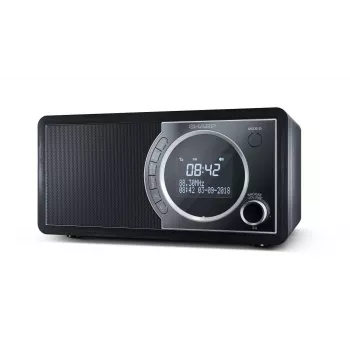 Sharp DR-450 digitālais radio - Melns, Personīgais, DAB, DAB+, FM, 87.5 - 108 MHz, 174.928 - 239.2 MHz, 3 W