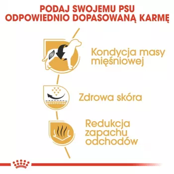 Sausā suņu barība Royal Canin French Bulldog Adult 9 kg — cūkgaļa, 26% olbaltumvielas, 18% tauki