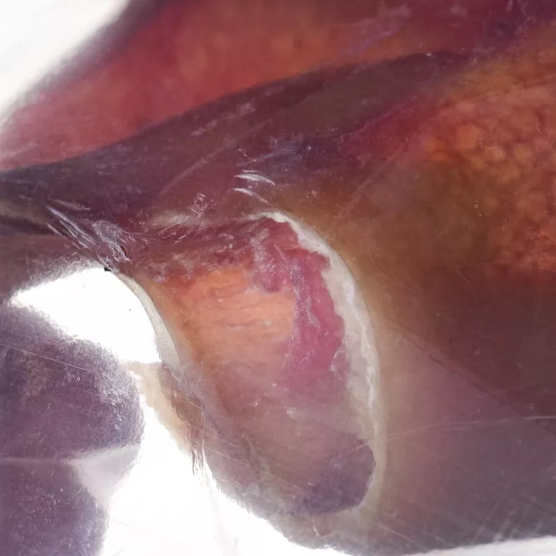 PETMEX Pork Ear 40 g — cūkas auss košļājamais gardums suņiem