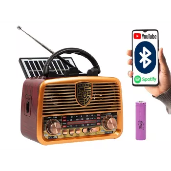 Analogais radio BLOW RA10 AM/FM saules 77-540