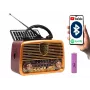 Analogais radio BLOW RA10 AM/FM saules 77-540