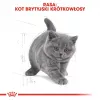 Sausā kaķu barība Royal Canin British Shorthair Kitten 2 kg – vista, 38% olbaltumvielas, 20% tauki, augšanas formula