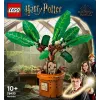 LEGO Harijs Poters TM 76433 Mandragora