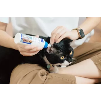 Ausu kopšanas šķīdums VIRBAC EPI-OTIC 125 ml – veterinārs ausu tīrītājs suņiem un kaķiem