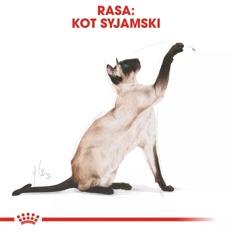 Royal Canin Siamese Adult sausā barība kaķiem, 2 kg