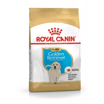 Sausā suņu barība Royal Canin Golden Retriever Junior 12 kg — mājputnu gaļa, 29% olbaltumvielas, 16% tauki